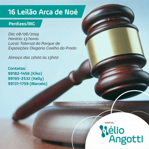 16º Leilão Arca de Noé