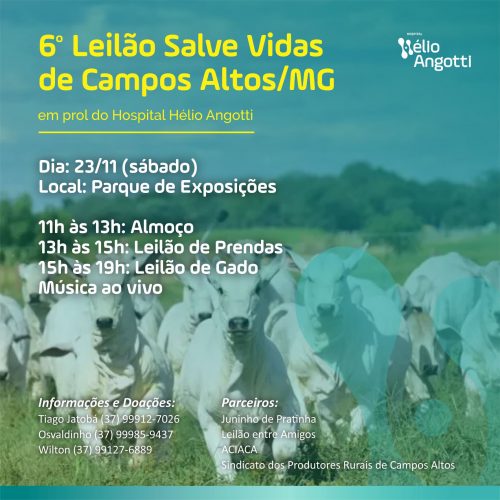 6º Leilão Salve Vidas de Campos Altos