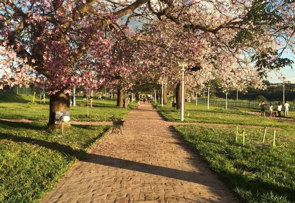 ZEBU RUN SUNSET ACONTECE NESTE FINAL DE SEMANA E BENEFICIA HÉLIO ANGOTTI